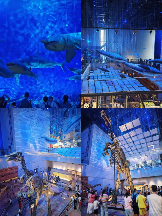 com 202512180233 83647d1bf2c25d1655770d7fe1ad5649 notes pre post