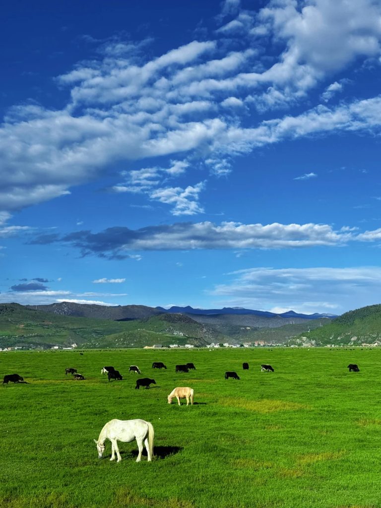 Thảo nguyên Na Pháp Hải